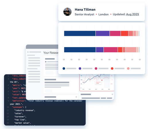 Screen of an IBISWorld API integration solutions